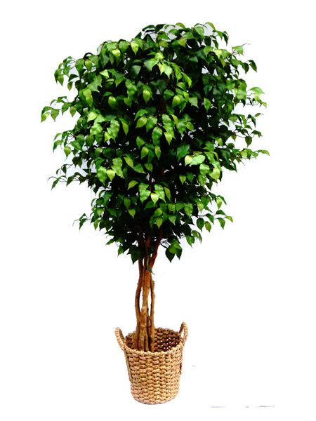 Artificial greeneries