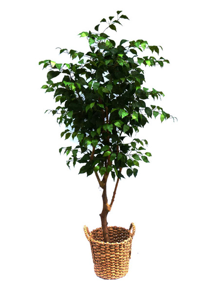 Artificial greeneries